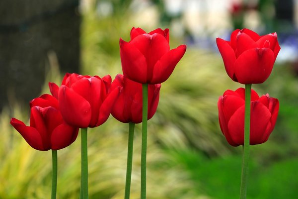 Élégance fonctionnelle : l'escalier quart tournant métal idéal