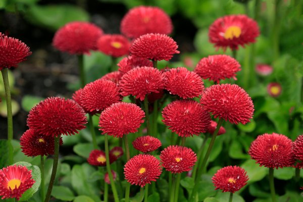 Améliorer le DPE : isolez les combles de votre maison !