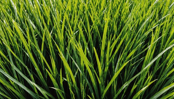 Gazon synthétique : les incontournables pour votre aménagement